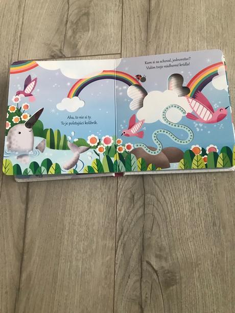 Kniha kam si sa schoval jednorožec,