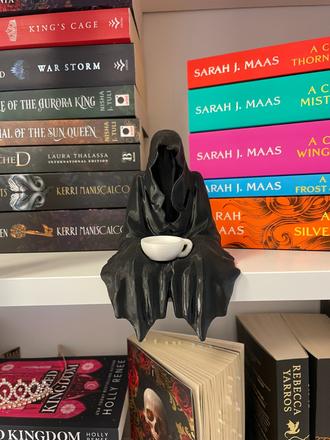 Dekorácia do knižnice suriel, 