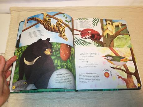 Sounds of the skies zvukova kniha nsu21, 