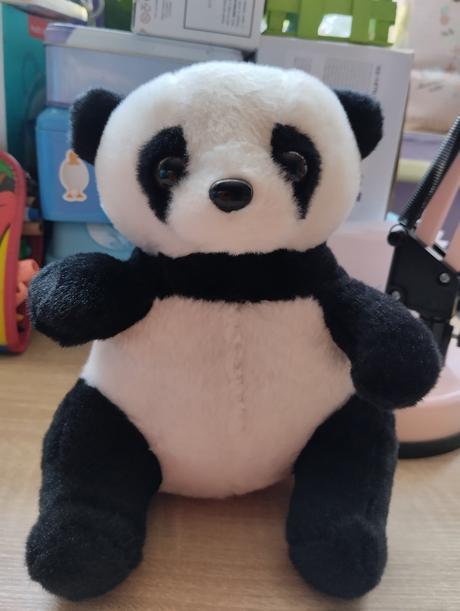 Panda,