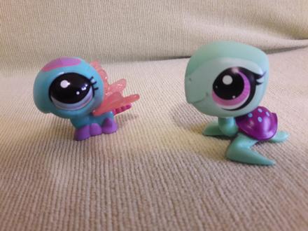 Korytnačka a motýĺ,