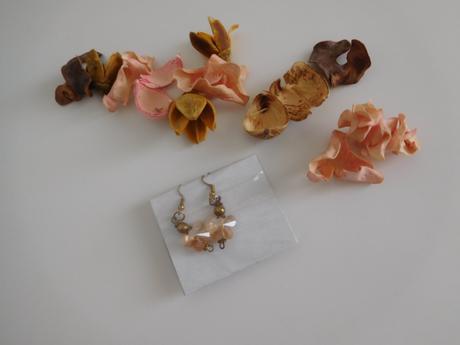 Motýle sklenené náučnice,