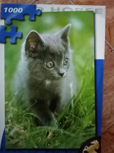 Puzzle mačka 1000 dielikov, 