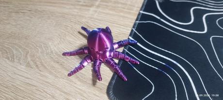 Oktopus flexi,