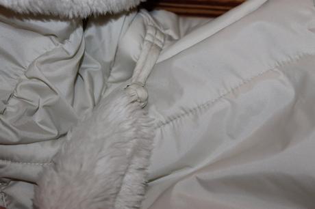 Dámska zimná bunda calliope v. l, l