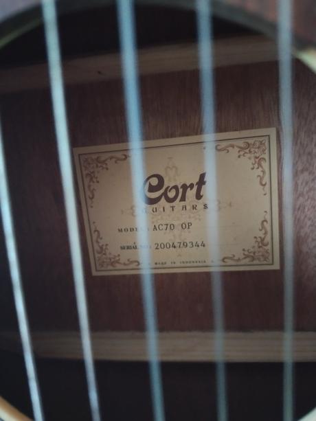 Detská gitara cort, 