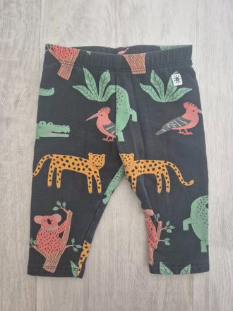 Leginy, lindex,68