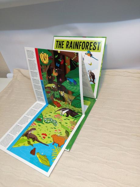 Who lives in the rainforest nsu21, 