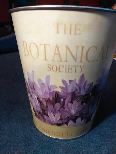 Črepník plechový, 