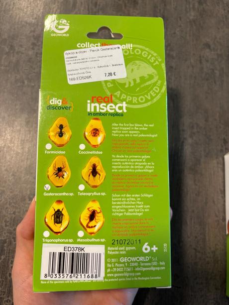 Geoworld - vykop a objav pavúk a mravec, 