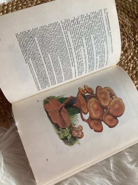 Taschenbuch für pilzfreunde (1987),