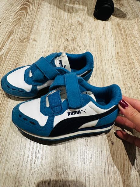 Botasky puma, puma,27