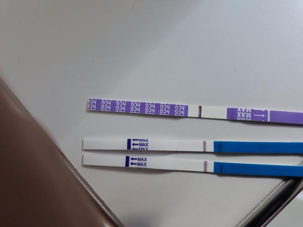 Tehotenský test - vidíte II?