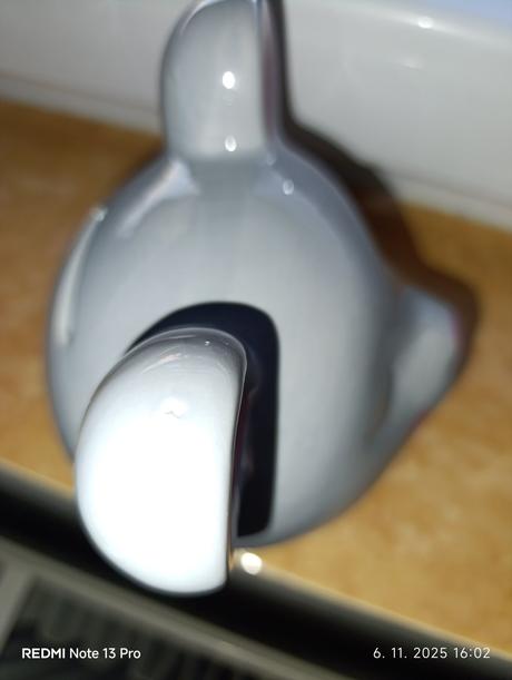 Pokladnička myška,