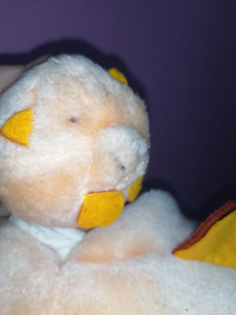 Prasiatko s babetkom, 