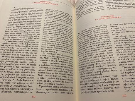 Retro super kniha muškáty,