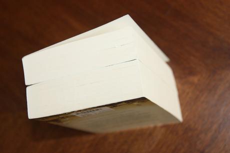 2x román od theresa révay,