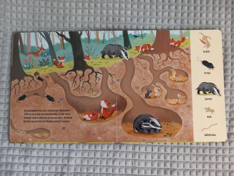 Moja prvá kniha o zvieratkách v lese, 