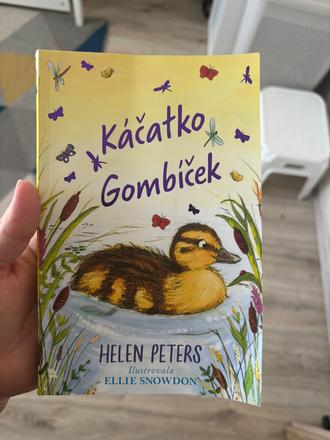 Kniha,