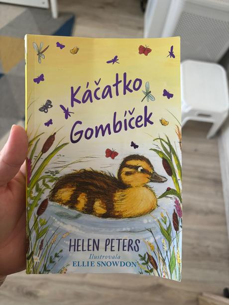 Kniha, 