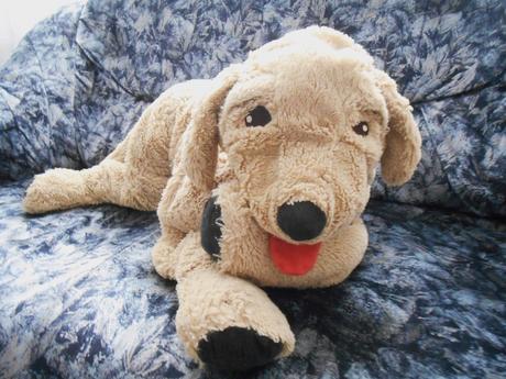 Plyšový gosig golden zlatý retriever,