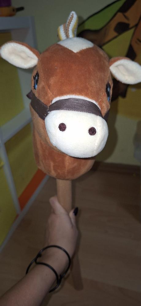 Koník na palici hobby horsing, 