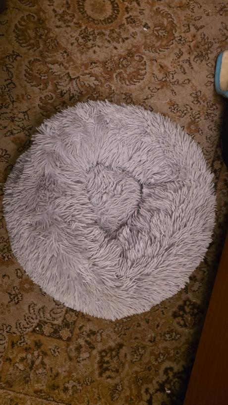 Pelech macka pes do8kg, 