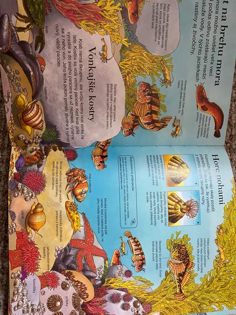 Veľká encyklopédia pre deti, 