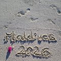 naledivy 26