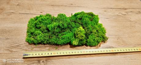 Preparovaný mach - 100 gramov - svetlá zelená,