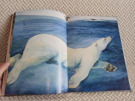 Jackie morris - something about a bear hb, 