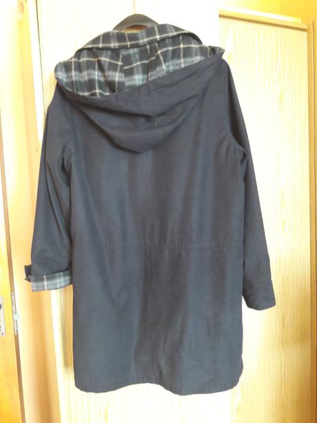 Prechodný jarník--38, 38