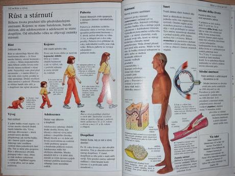 Stručná encyklopedie lidského těla,