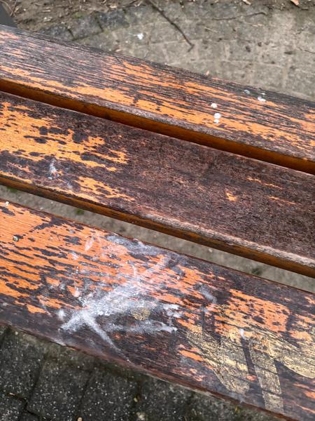 Mám ísť so synom na pohotovosť po oblíznutí vtáčieho trusu?