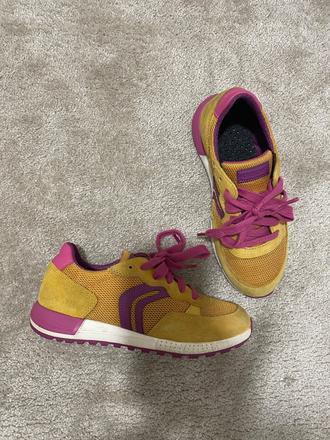 Tenisky geox c 33, geox,33