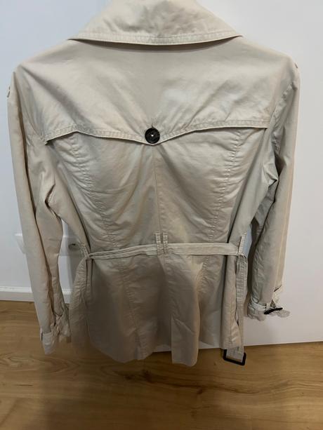 Bledy kabat, calliope,l