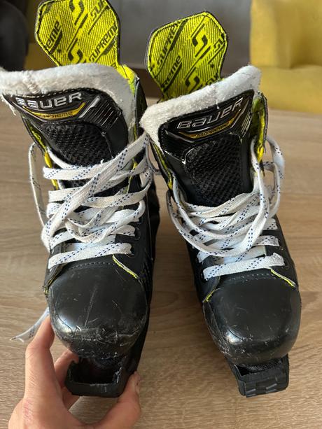 Bauer korčule youth, bauer,31