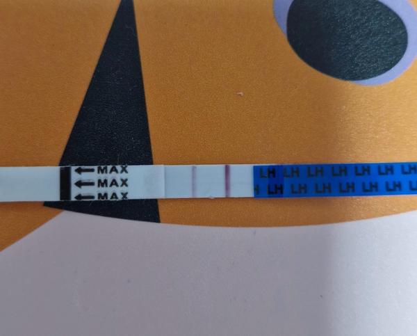 Kedy je ovulačný test považovaný za pozitívny?