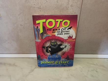 Dermot o'leary - toto, the ninja cat and the myste, 