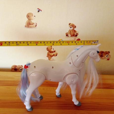 Pohybujúci sa koník,