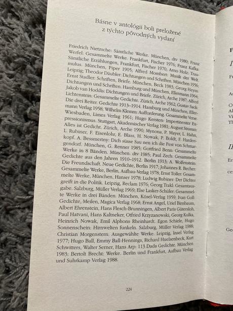 Krik a ticho storočia /analógia expresionizmu/,