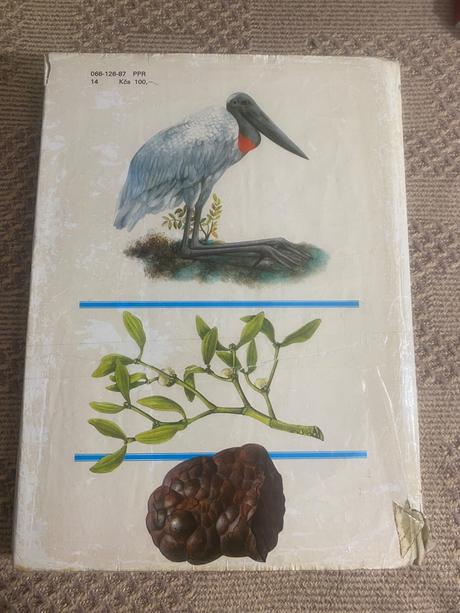 Pestrá príroda luděk j. luděk jindřich dobroruka,,