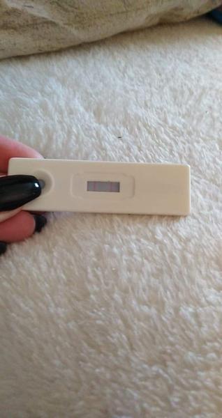 Myslíte že to už konečne vyšlo?