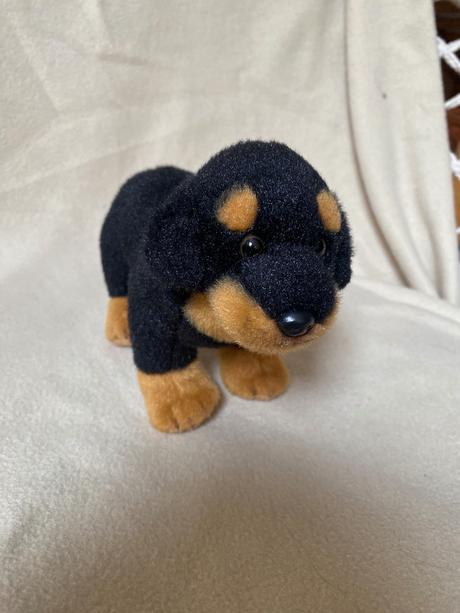 Šteniatko plyšák,