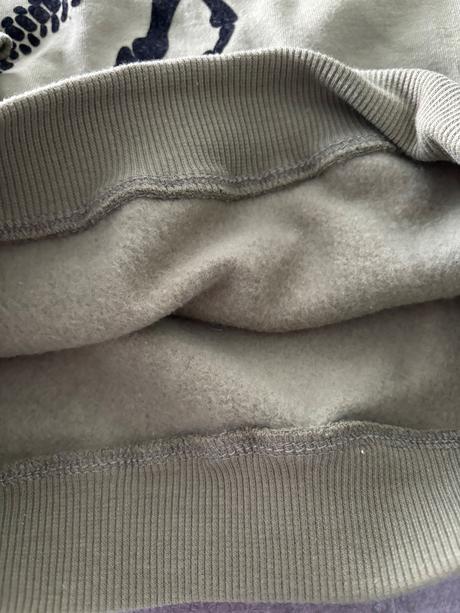 Mikina tyranosaurus, h&m,116