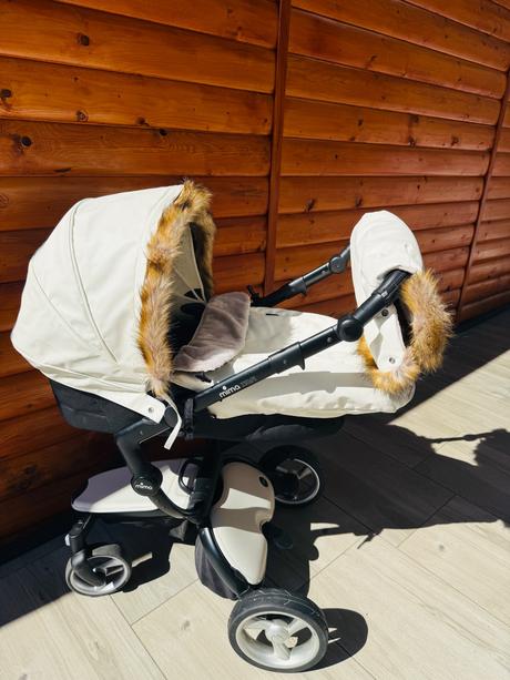 Kočík mima xari, mima,mima xari