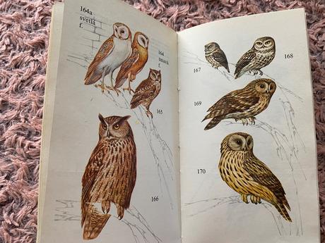 Atlas chránených živočíchov slovenska  a. čaputa,, 