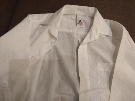 122 snehobiela kosela, palomino,122