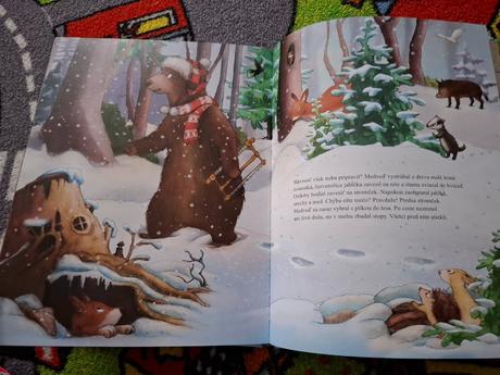 Tajný vianočný hosť, 