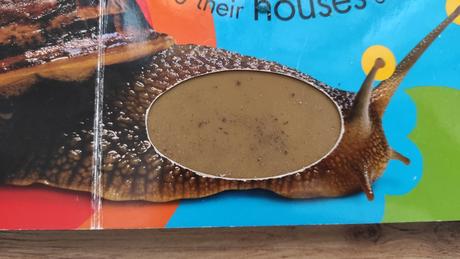 Hmatove kniha. hmyz,